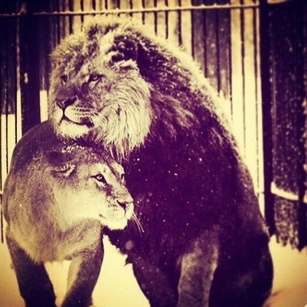 Ваша верность и преданность помогает вашим близким в самые темные для них времена!