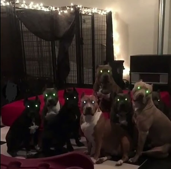 6. Ладно, может быть, это пугающая фотка, ок...