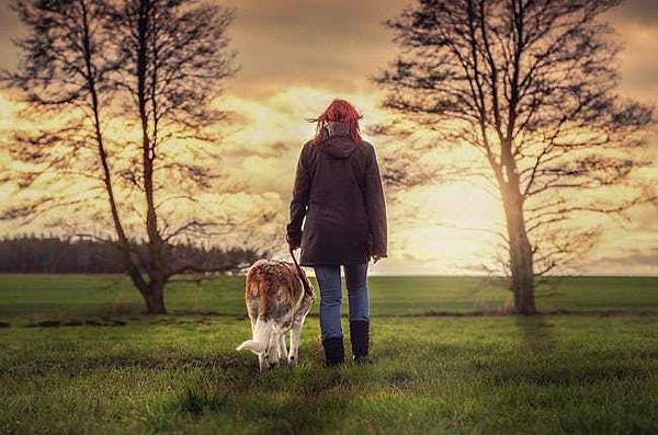 3. Близнецы будут скитаться от группы к группе в поисках друзей