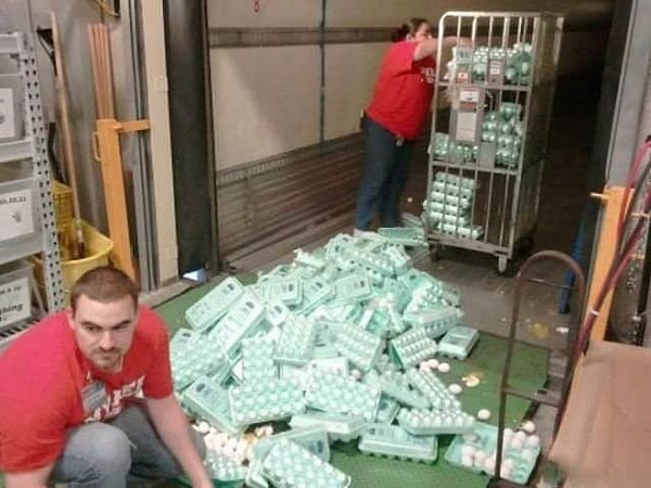 13. А знаете, что самое ужасное? Если они не отдраят все от яиц, то через несколько дней запах будет просто ужасным