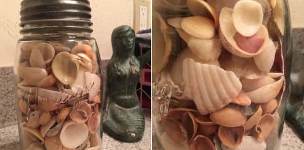 1. Этот любящий муж, который привез с отдыха банку с ракушками и... скорлупой от фисташек