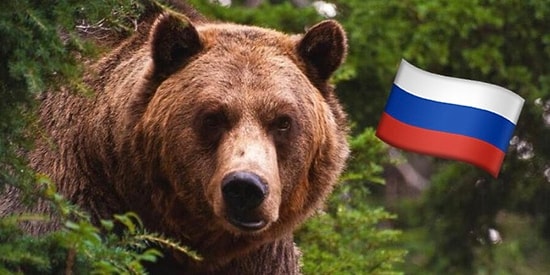 Тест: Только 1 житель России из 100 знает русскую природу на 11/11