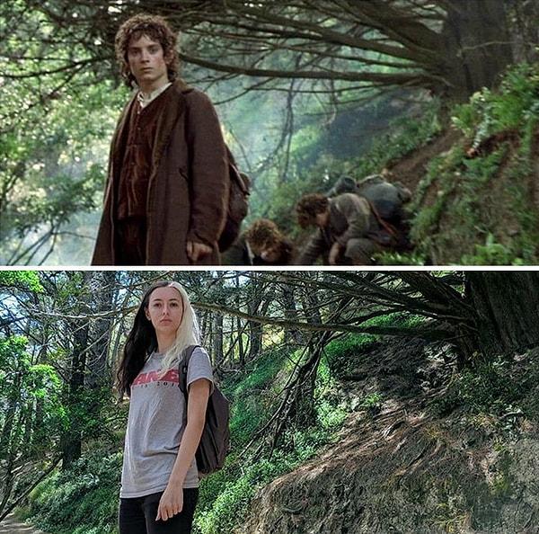 2. Hobbitlerin Shire'ını terk ederken, Wellington'da.
