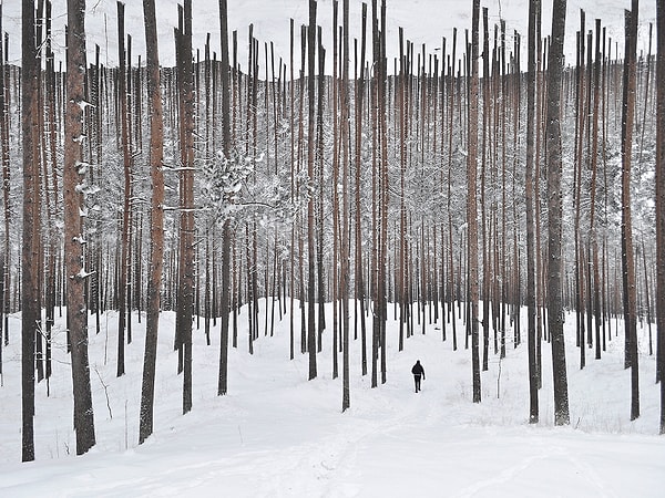 7. В принципе работы итальянца показывают все то, что нас окружает, но с совершенно иной перспективы.