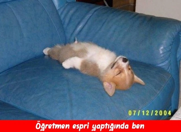 Yalandan da olsa gülenler?