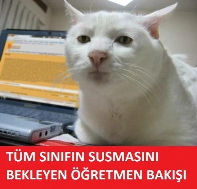Burun bir tık önde... Aynen bu!