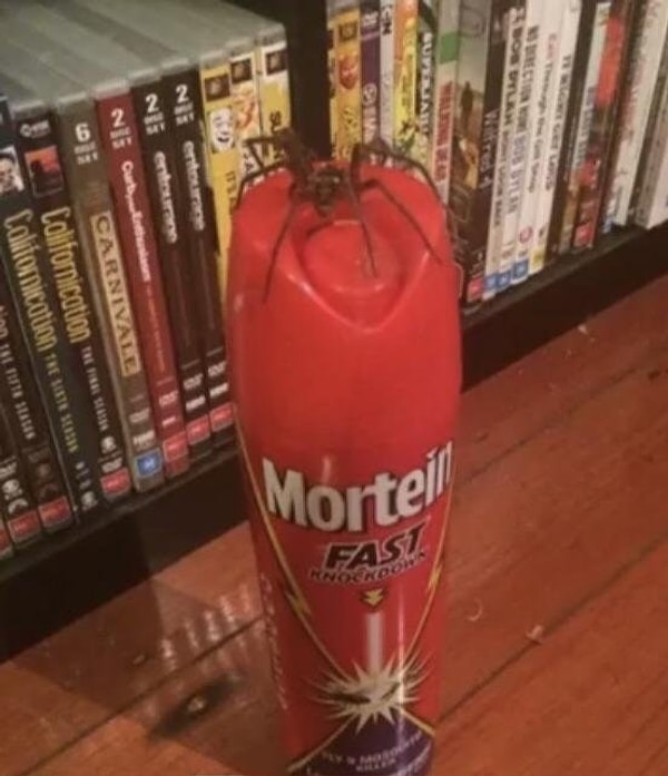 20. Попробуй дотронуться!