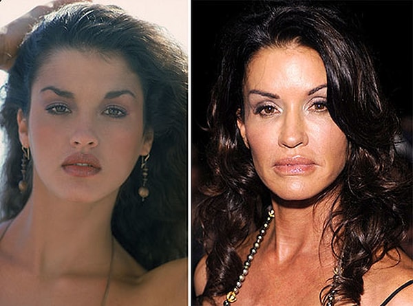 6. Дженис Дикинсон