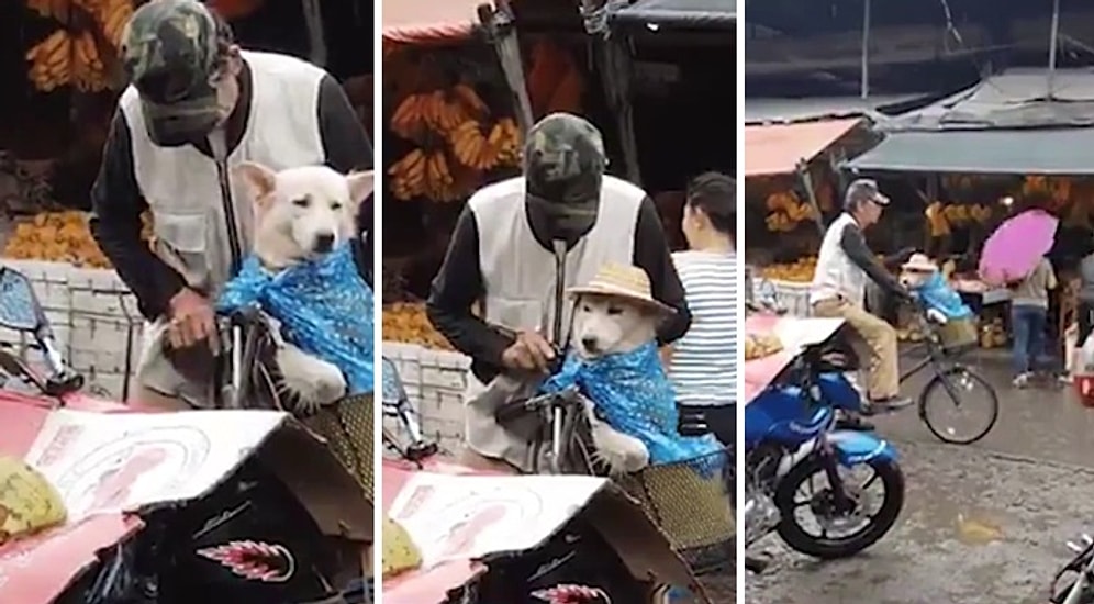 Siz Ne Kadar Tatlısınız Öyle! Yağmurda Islanmaması İçin Köpek Dostunu Hazırlayan Güzel İnsan