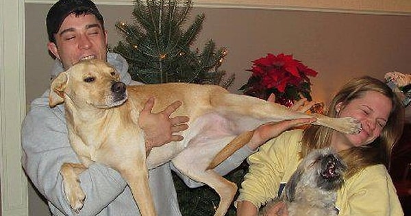 И, наконец, мы благодарим наших друзей со всей их чистотой и наилучшими чувствами по отношению к хозяину, ведь именно они делают нашу жизнь лучше и напоминают нам о человечности.