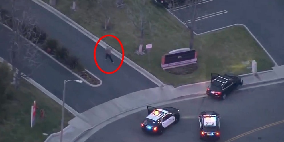 Aksiyon Filmlerini Aratmayan Kovalamaca Sonucunda Şüpheliyi Uçarak Yakalayan K-9 Polis Köpeği