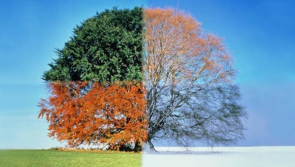 7. Ваше любимое время года - это...