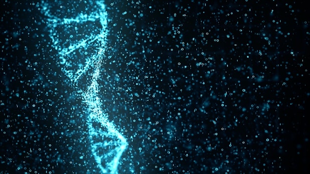 DNA sonuçları, Çağlar Kolca'nın biyolojik babasının Cihat Kolca olduğu ortaya çıktı.