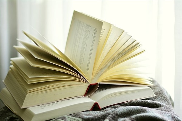 9. Как вы относитесь к биографическим романам?