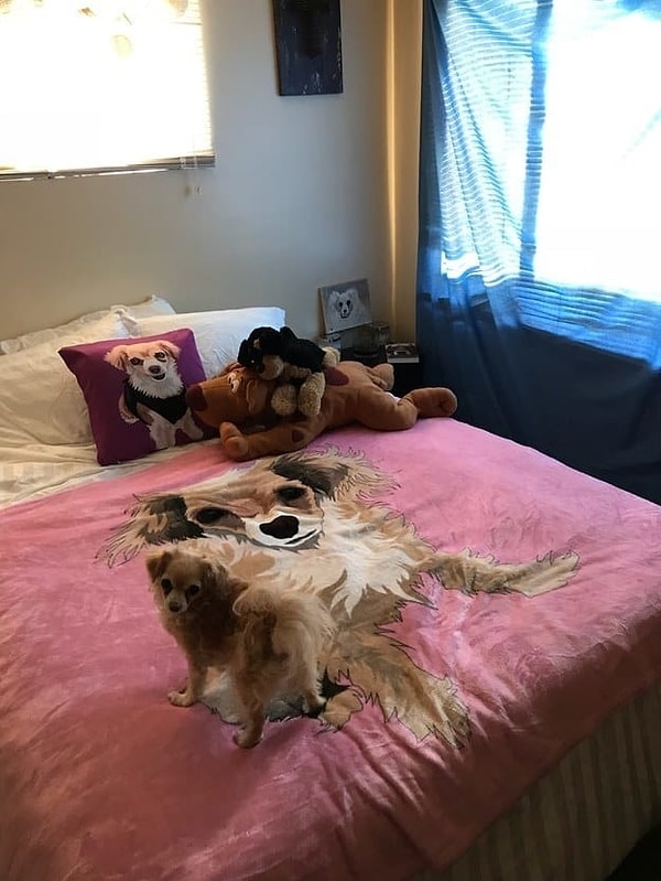 11. Непонятно, то ли это отдельная комната для собаки, то ли просто спальня, но ясно одно — этот четвероногий комок шерсти здесь любят и балуют!