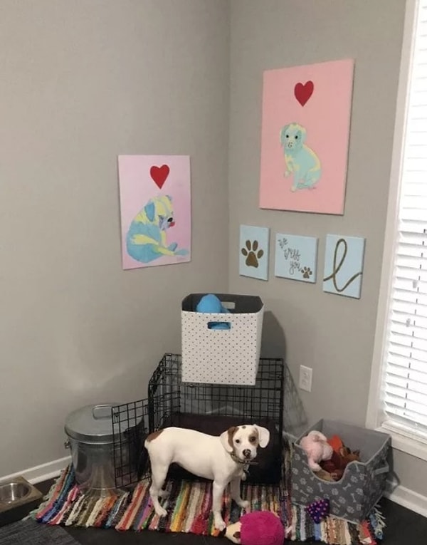 10. А у собачки Люси есть целый уголок, посвященный ей одной