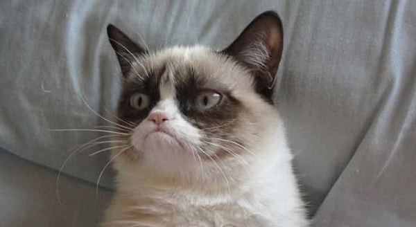 Вам не удалось набрать 10 из 10. Зато вы узнали из этого теста что-то новое для себя .