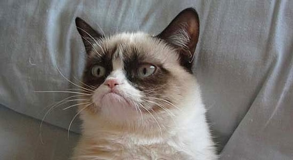 Эх, почти получилось. Но вы все равно большой молодец!