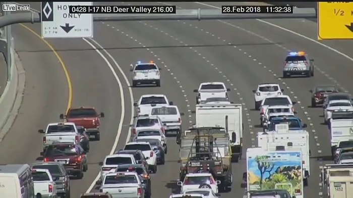 Kafalarına Göre Otoyolda Yürüyen İki Köpek İçin Trafiği Durma Noktasına Getiren Güzel İnsanlar