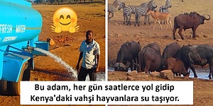 Pirinç Tarihe mi Gömülüyor Sofralarımızdan Eksik Olmayan Pirinçin En Sağlıklı Eşdeğeri: Amarant 14