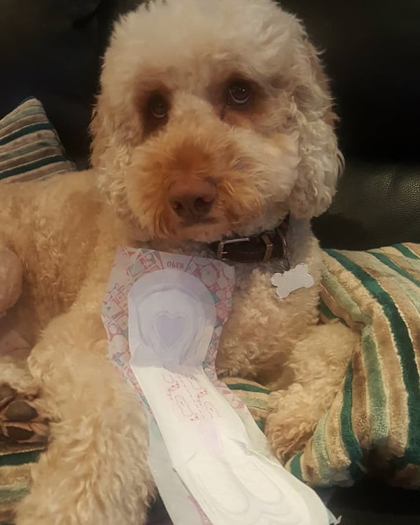 6. Если у вас нерегулярный менструальный цикл, вы все равно можете забеременеть