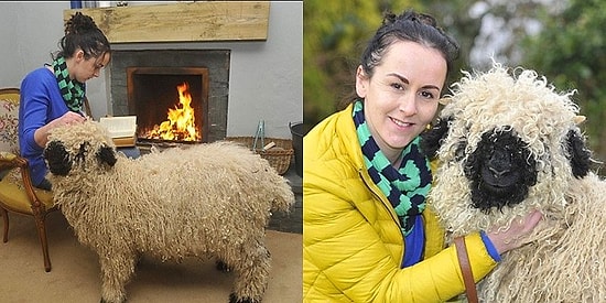 История овечки Марли, считающей себя псом и даже и не думающей что-либо менять в своей жизни