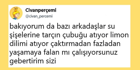 Eğlenceli Tespit ve Yakarışlarıyla Herkesi Güldürmeyi Başarmış 15 Kişi