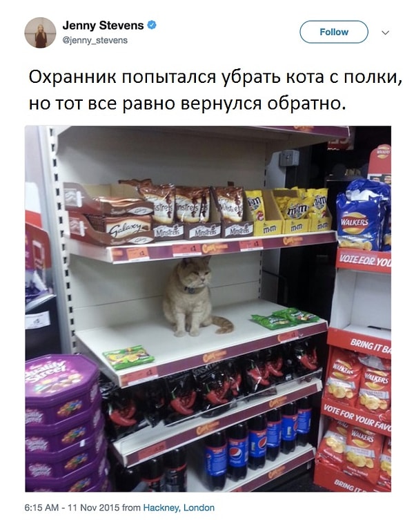 10. Вообще любая попытка проконтролировать этих усатых вредителей обречена на провал