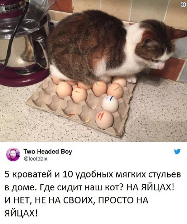 16. Подстилки и кроватки? Пффф... Смотрите пункт выше 👆