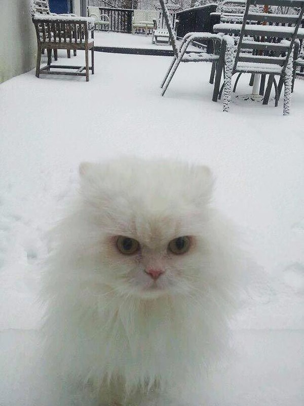 19. Мое терпение на исходе...