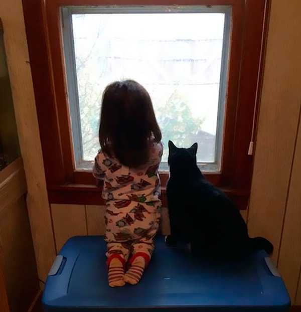 6. "Друзья наблюдают за птичками"