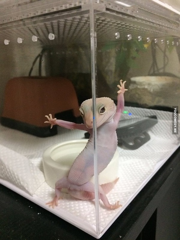 17. "Страховку приобрести не желаете?"