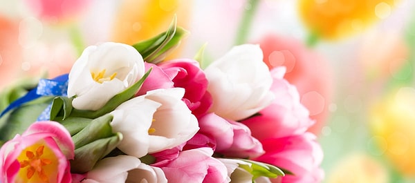 10. Вы любите цветы?