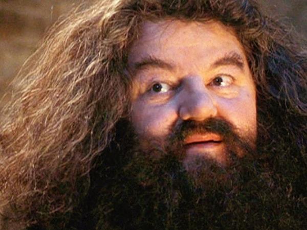 Hagrid çıktı!