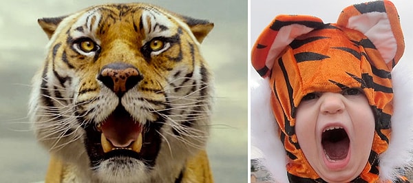 29. "Жизнь Пи"