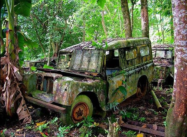 10. Panamanian Cangılında takılı kalmış bir arazi aracı.