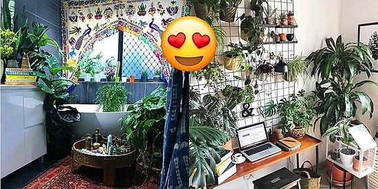 Зеленое счастье: 10 способов превратить свою квартиру в настоящие джунгли