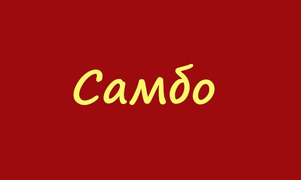 8. Какого рода это слово?