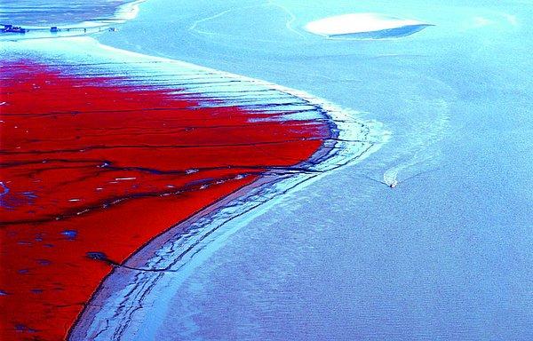 Red Beach, Çin.