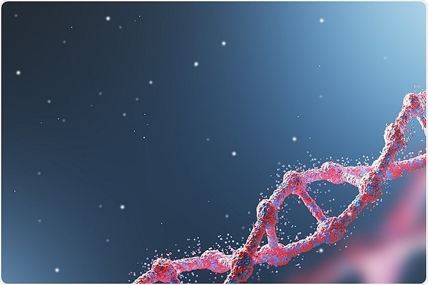 1. Вы спросите, как исследователи это поняли?