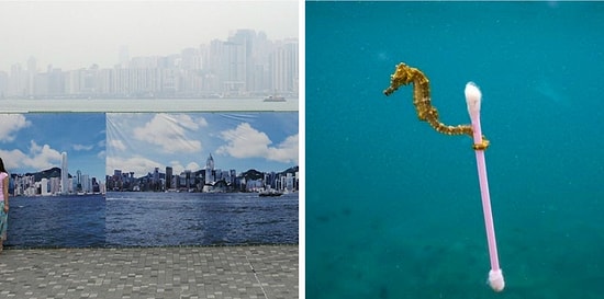 15 шокирующих фотографий планеты, которые не на шутку "загрузят" ваш мозг