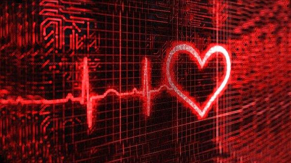 6. Kalp sağlığı testi ( Elektrokardiyogram)
