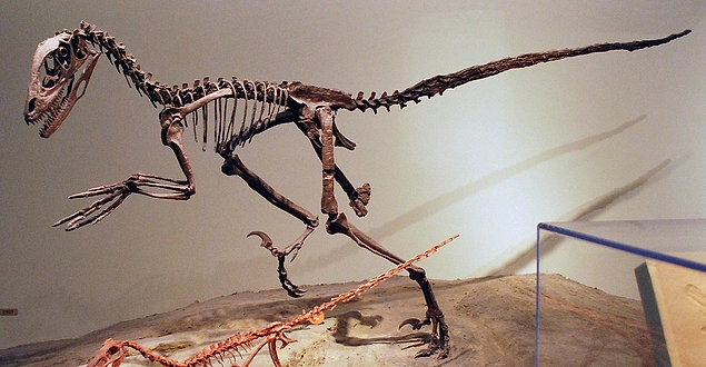 Dinozor Rönesans’ı - John Ostrom