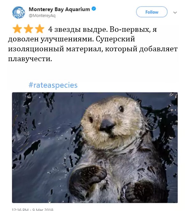 7. Идеально!