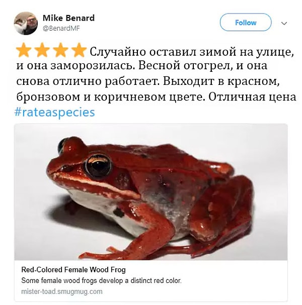 10. Цвет-хамелеон отлично подойдет к любому интерьеру