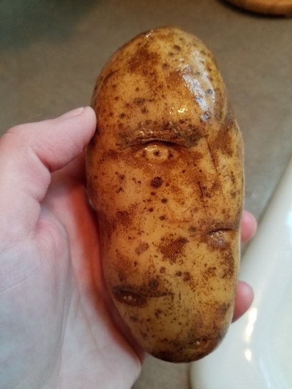 5. У этой картофелины идеальный глаз  и прекрасная бровь!