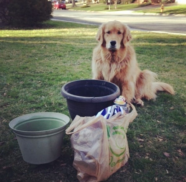 Таким образом, если при обычной тренировке за 30 минут сжигается 235 калорий, благодаря плоггингу вы сожжёте не менее 288 калорий за 30 минут.