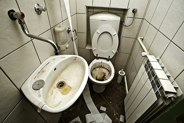 1. Облизали бы унитаз общественного туалета за миллион долларов?