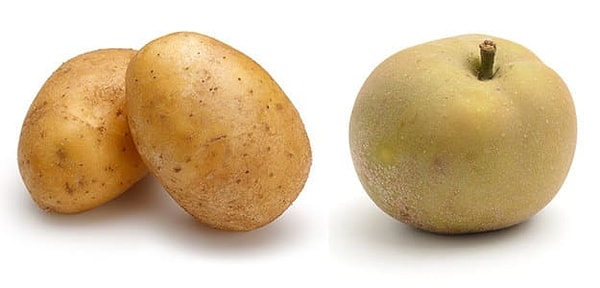 Показать правильный ответ