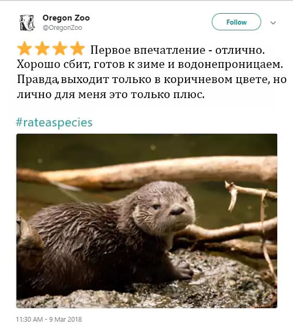 8. Улыбнись, тебе же дали целых четыре звезды!